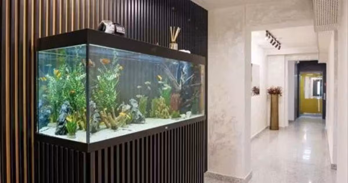 Apartament de vânzare cu 2 camere în zona Străulești, Sector 1