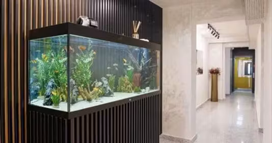 Apartament Băneasa
