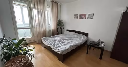 Apartament Theodor Pallady