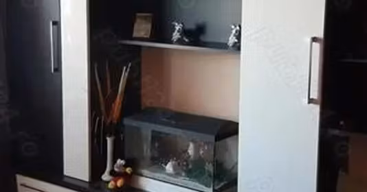 Apartament Viziru 3