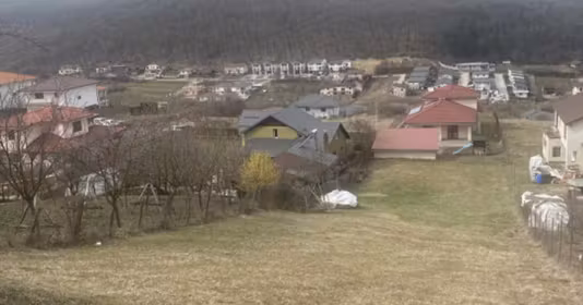 Teren Florești