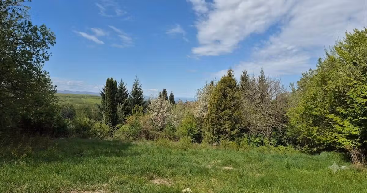 Teren Construcții intravilan de vânzare de 802 mp, în zona Făget, Cluj-Napoca