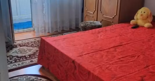 Garsonieră Radu Negru