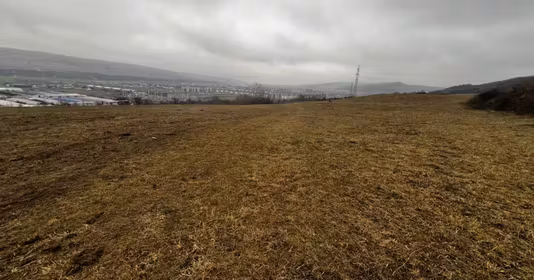 Teren Florești