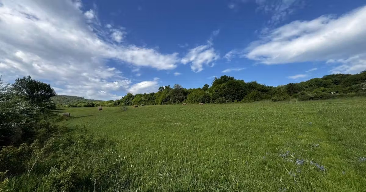 Teren Construcții intravilan de vânzare de 3800 mp, în Florești