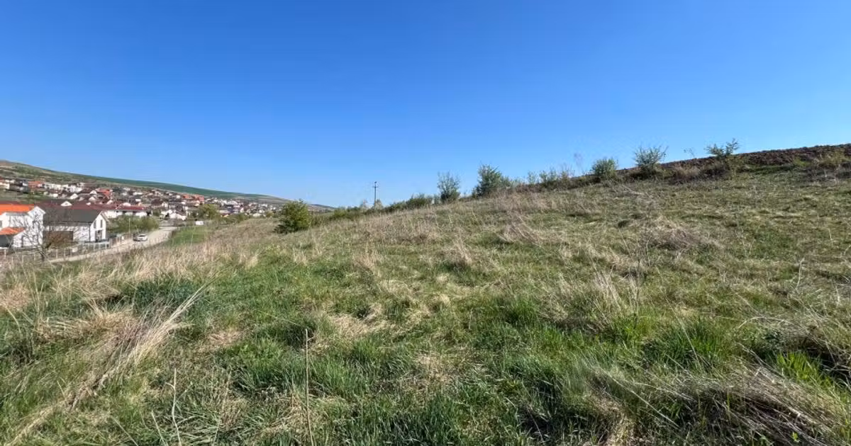 Teren Construcții intravilan de vânzare de 3800 mp, în Chinteni