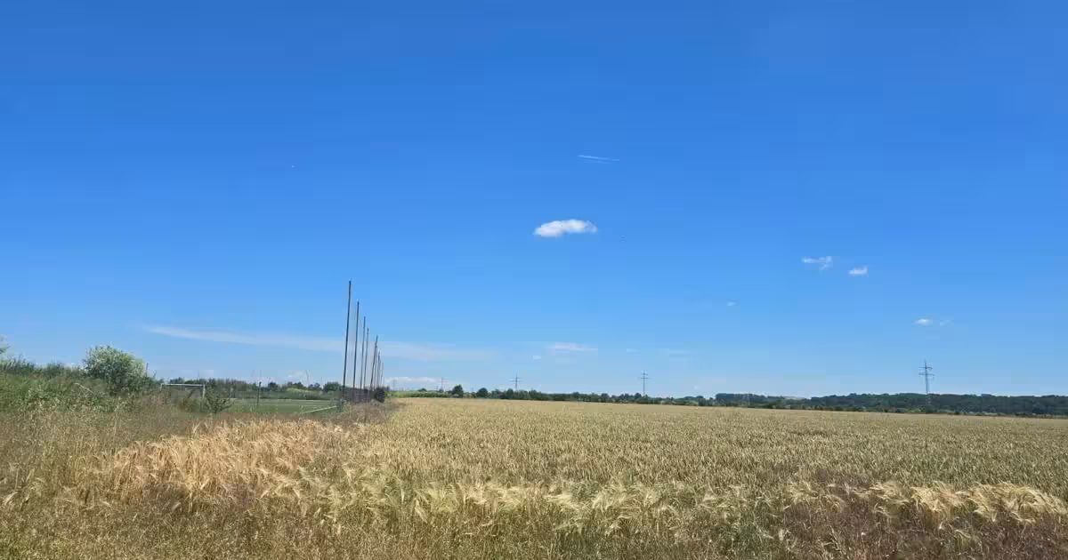 Teren intravilan de vânzare de 6097 mp, în 1 Decembrie