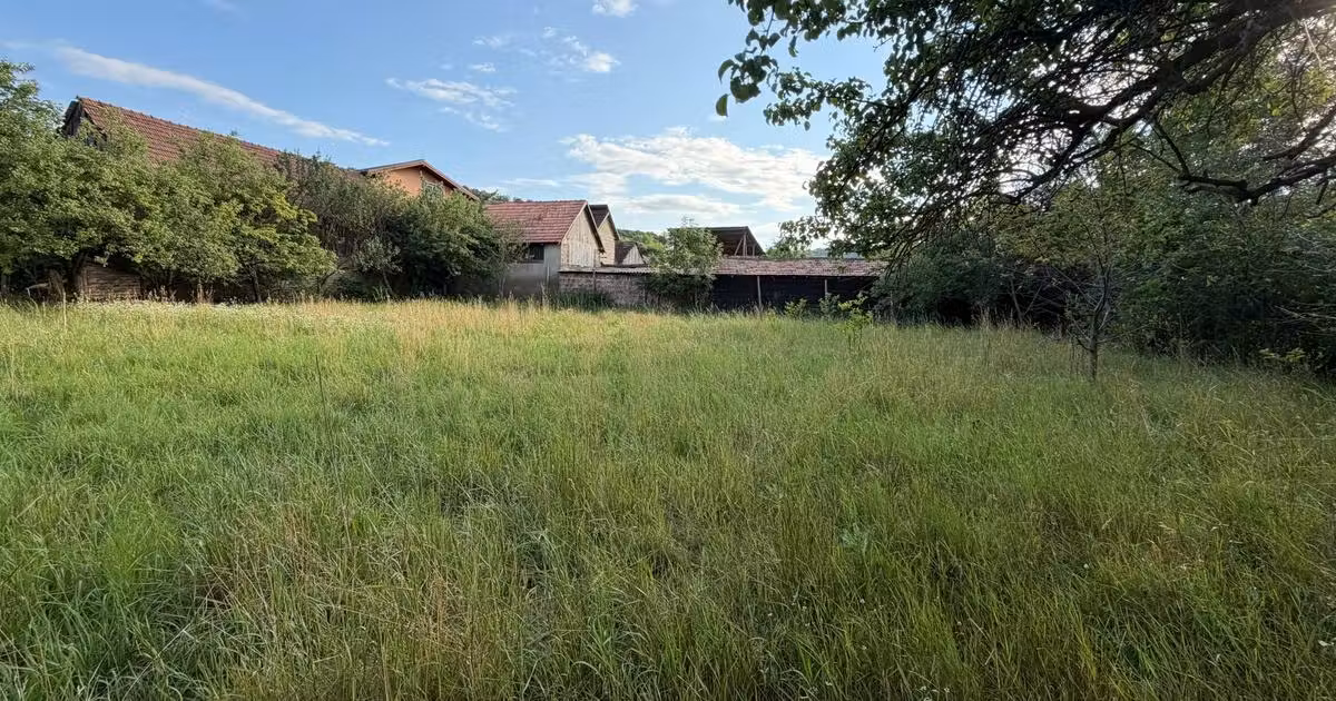 Teren · 60 m², Suceagu, baciu