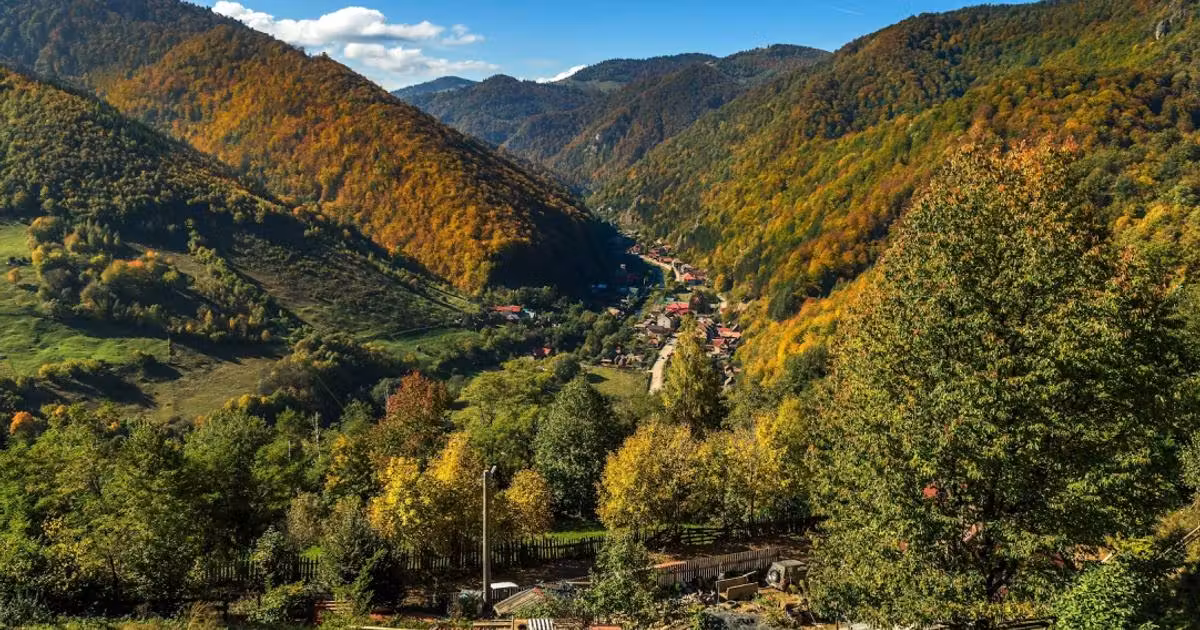 Teren Construcții intravilan de vânzare de 4600 mp, în Plopi