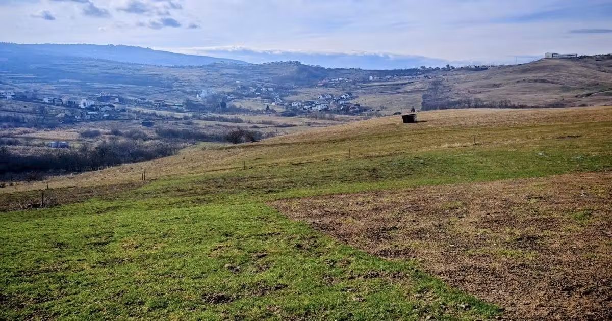 Teren Construcții intravilan de vânzare de 17350 mp, în zona Borhanci, Cluj-Napoca