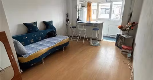 Garsonieră Radu Negru