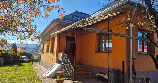 Teren Florești