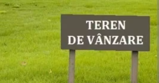 Teren Mărăști