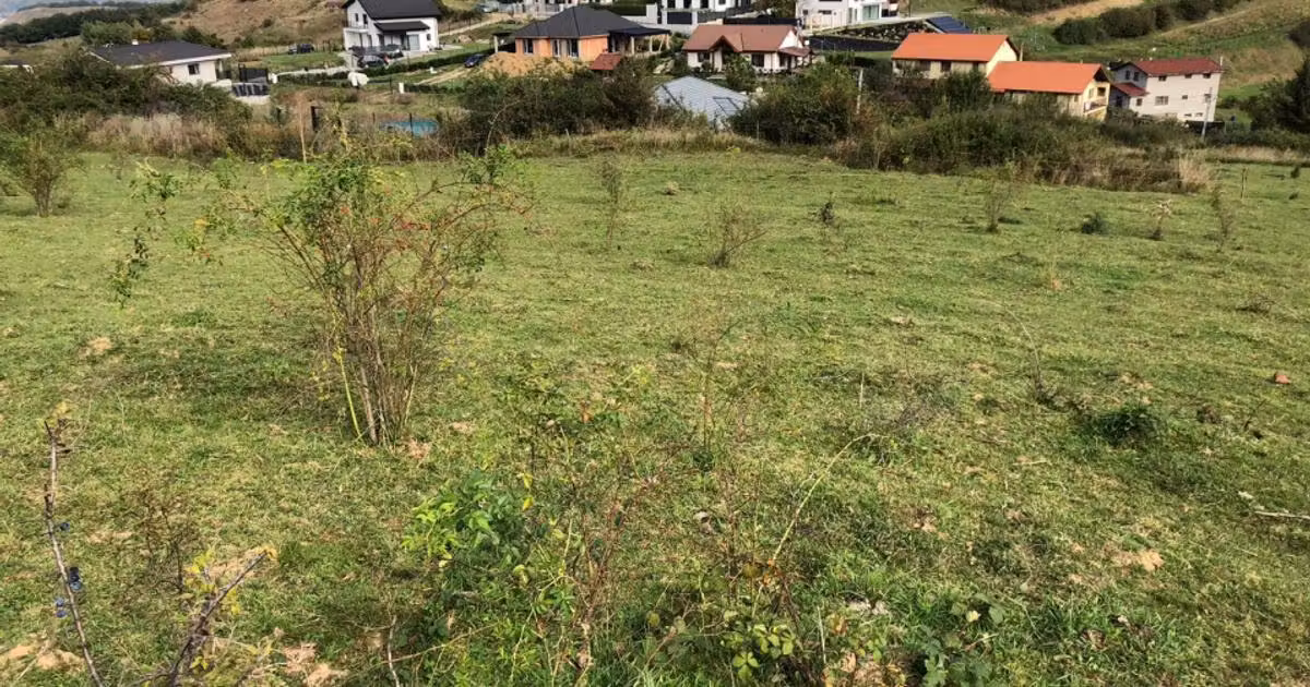 Teren Construcții intravilan de vânzare de 5100 mp, în Tăuți
