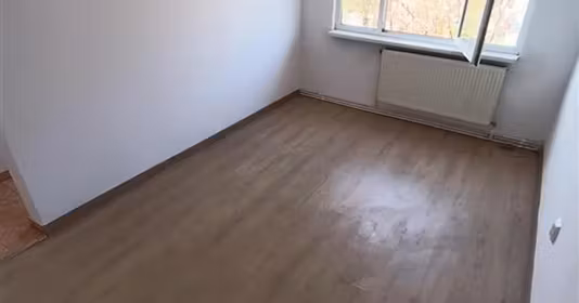 Apartament Apollo