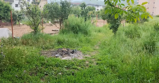 Teren Florești