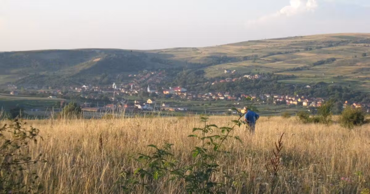 Teren Construcții intravilan de vânzare de 5700 mp, în Chinteni