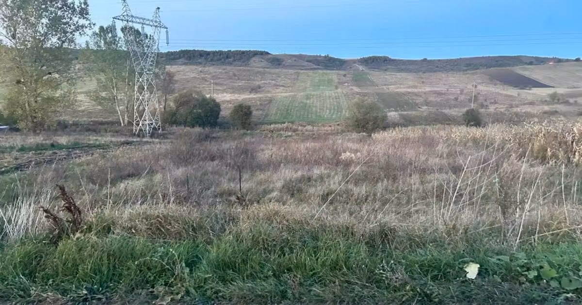 Teren Construcții extravilan de vânzare de 2260 mp, în Săliștea Veche