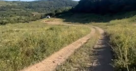 Teren Florești
