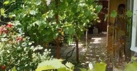 Casă Central