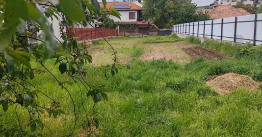 Teren Florești