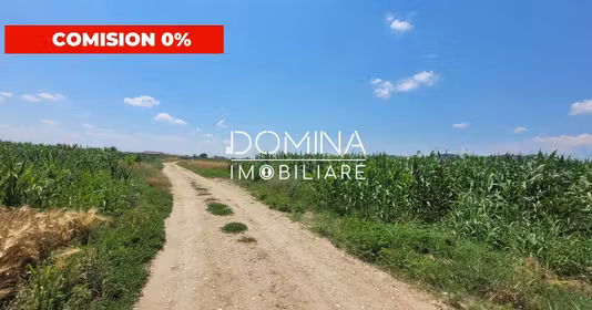 Teren Bălești