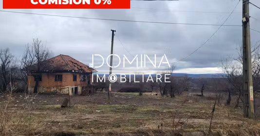 Teren Mușetești