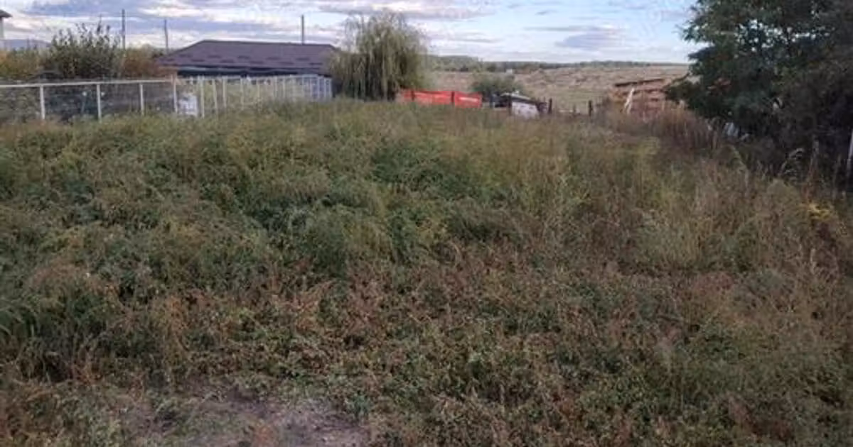 Teren Construcții intravilan de vânzare de 1353 mp, în Chiscani