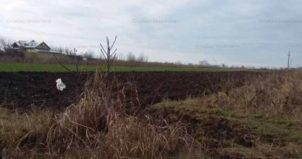 Teren intravilan de vânzare de 3000 mp, în Chiscani