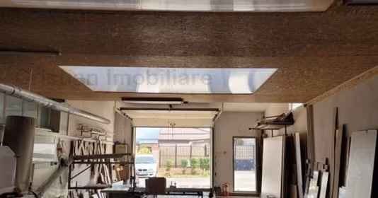Spațiu comercial Pisc