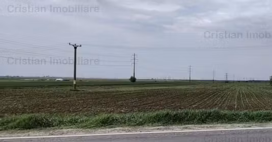 Teren Centură