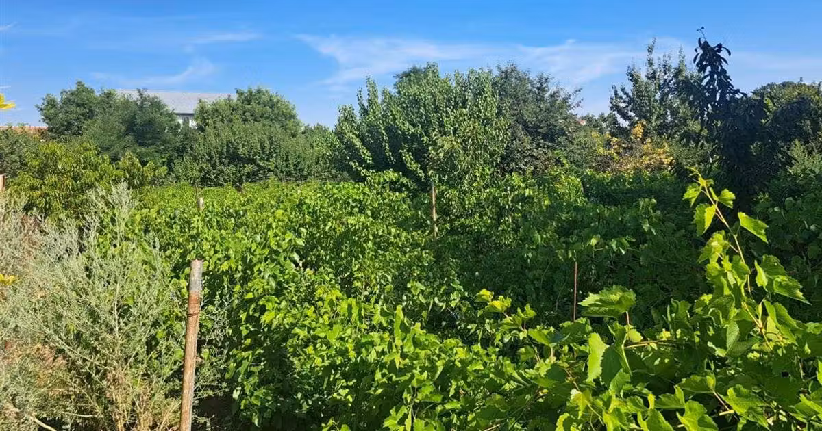 Casă individuală de vânzare cu 4 camere în Chiscani