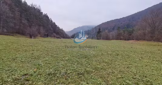 Teren Periferie