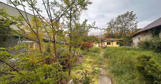 Teren Peninsulă
