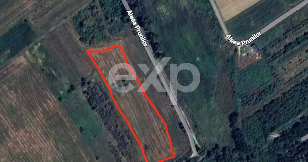 Teren agricol extravilan de vânzare de 20000 mp, în Budeasa Mare