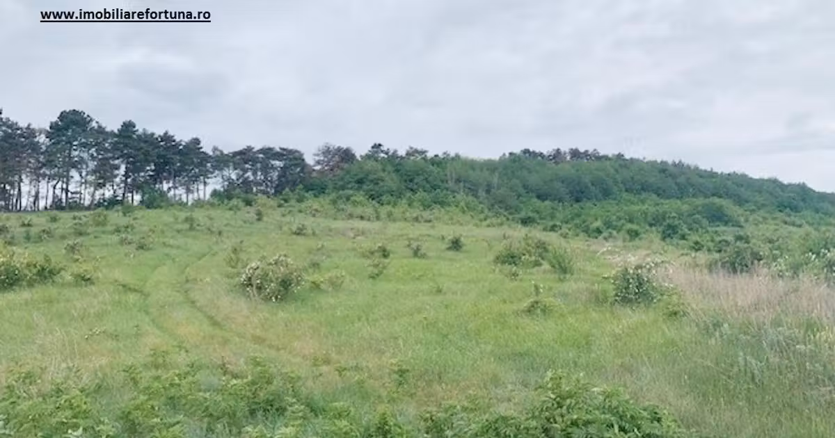 Teren Construcții intravilan de vânzare de 1720 mp, în zona 1 Mai, Piatra-Neamț