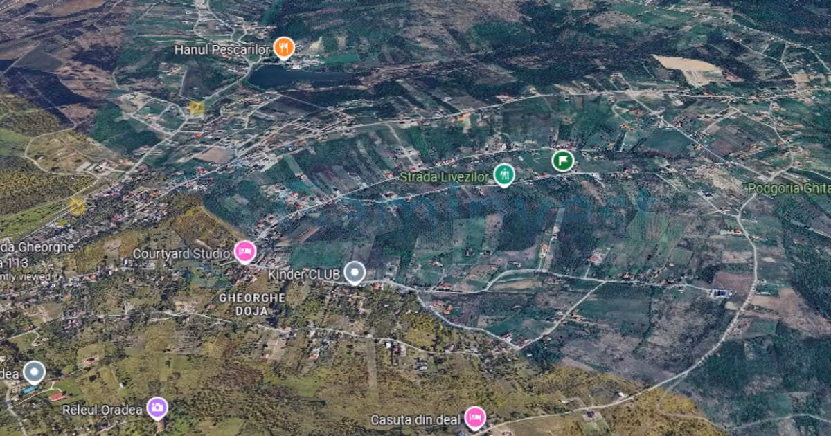 Teren Construcții intravilan de vânzare de 837 mp, în Săldăbagiu de Munte