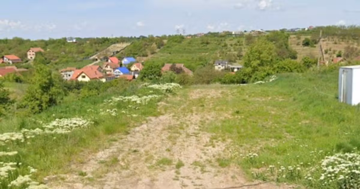 Teren Construcții intravilan de vânzare de 3133 mp, în zona Cantemir, Oradea