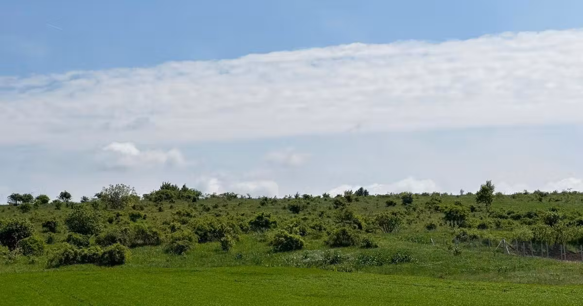 Teren agricol extravilan de vânzare de 5096 mp, în zona Episcopia Bihorului, Oradea