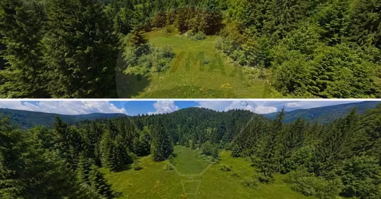 Teren Arieșeni