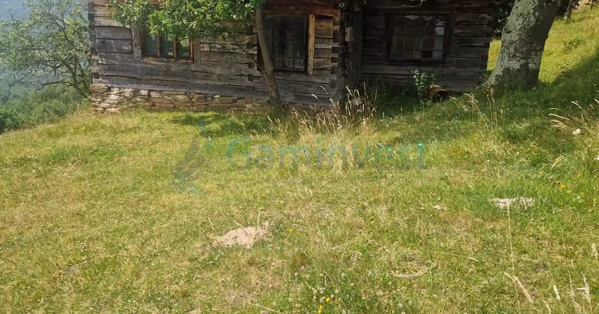 Teren agricol intravilan de vânzare de 26034 mp, în Bulz