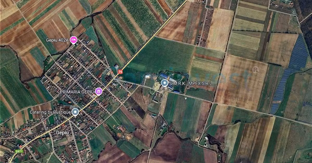 Teren Construcții intravilan de vânzare de 10000 mp, în Gepiu