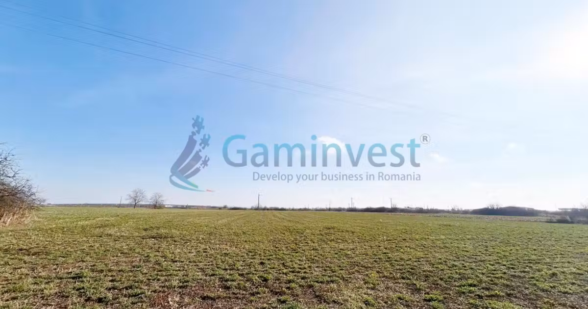 Teren Construcții intravilan de vânzare de 3614 mp, în Borș
