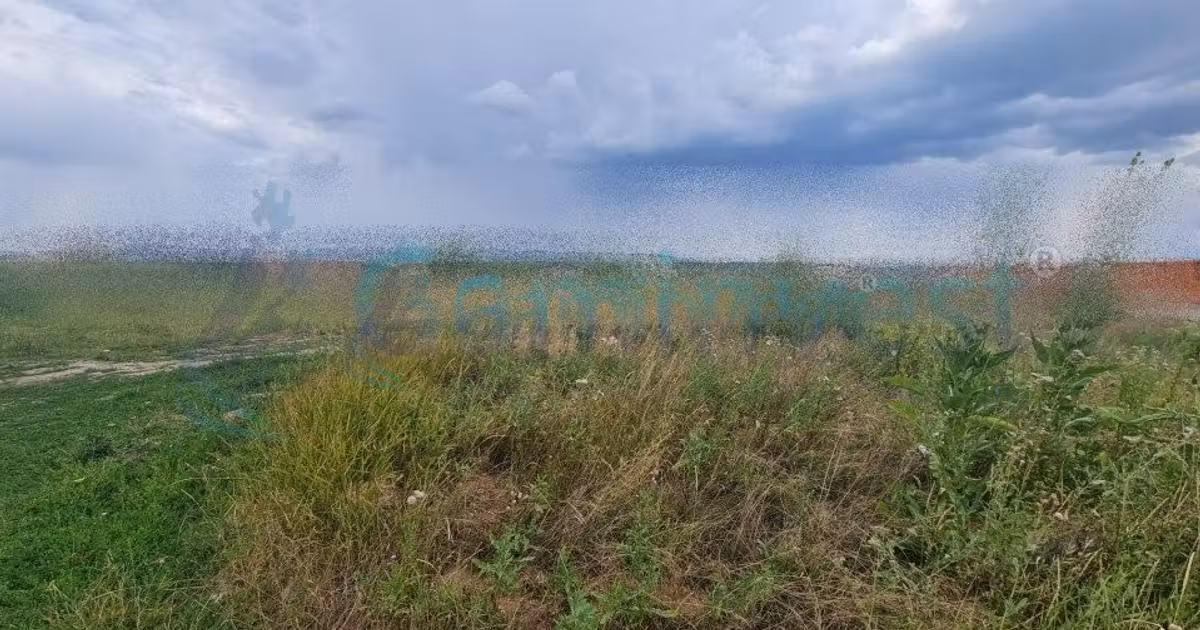 Teren Construcții intravilan de vânzare de 2000 mp, în Oșorhei