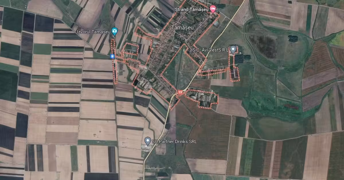 Teren Construcții intravilan de vânzare de 5000 mp, în Tămășeu