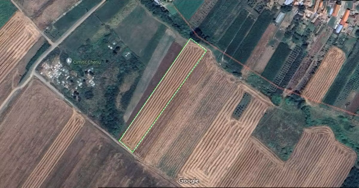 Teren agricol de vânzare de 3000 mp, în Cheriu