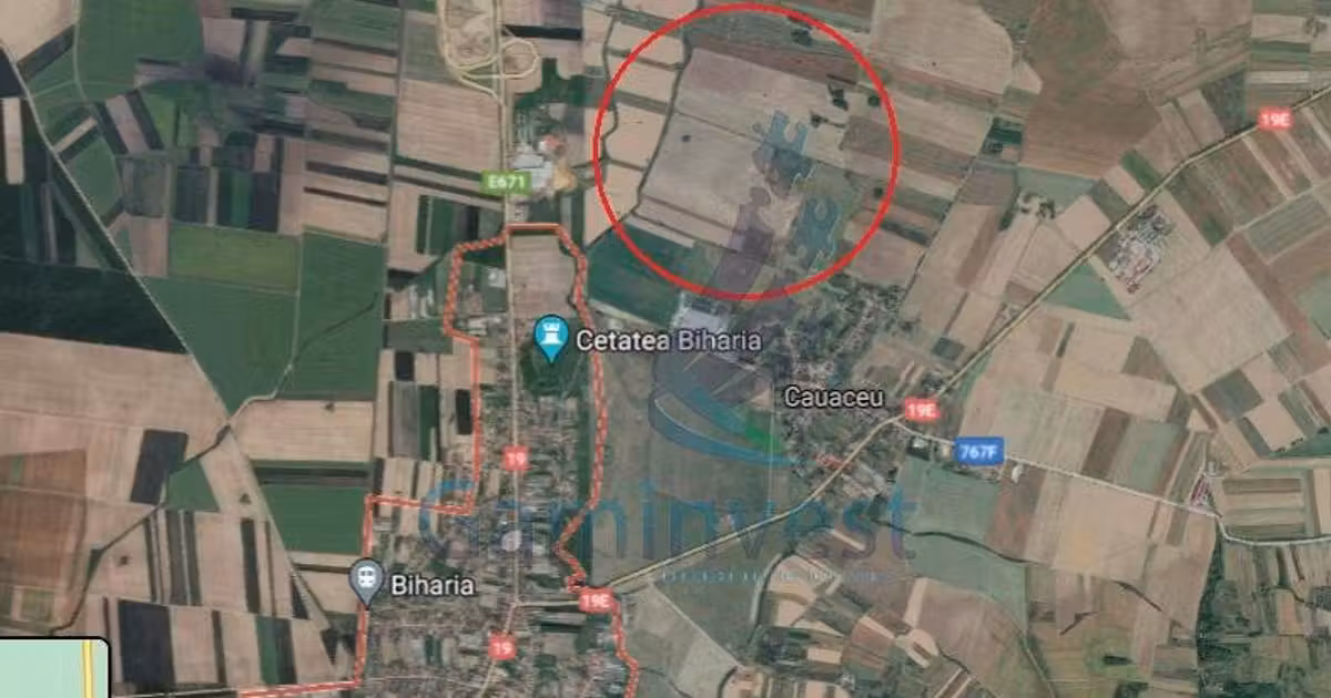 Teren agricol extravilan de vânzare de 10000 mp, în Biharia