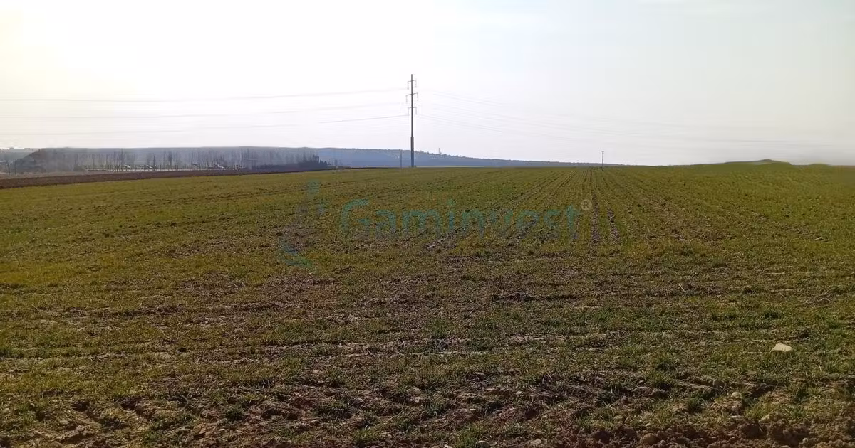 Teren Construcții intravilan de vânzare de 20000 mp, în Biharia