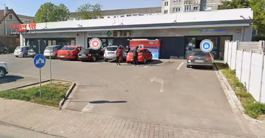 Spațiu comercial Nufărul