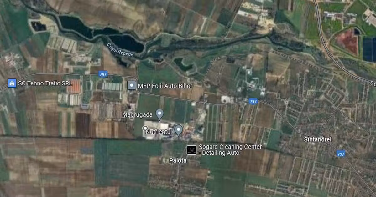 Teren Construcții intravilan de vânzare de 11900 mp, în Palota